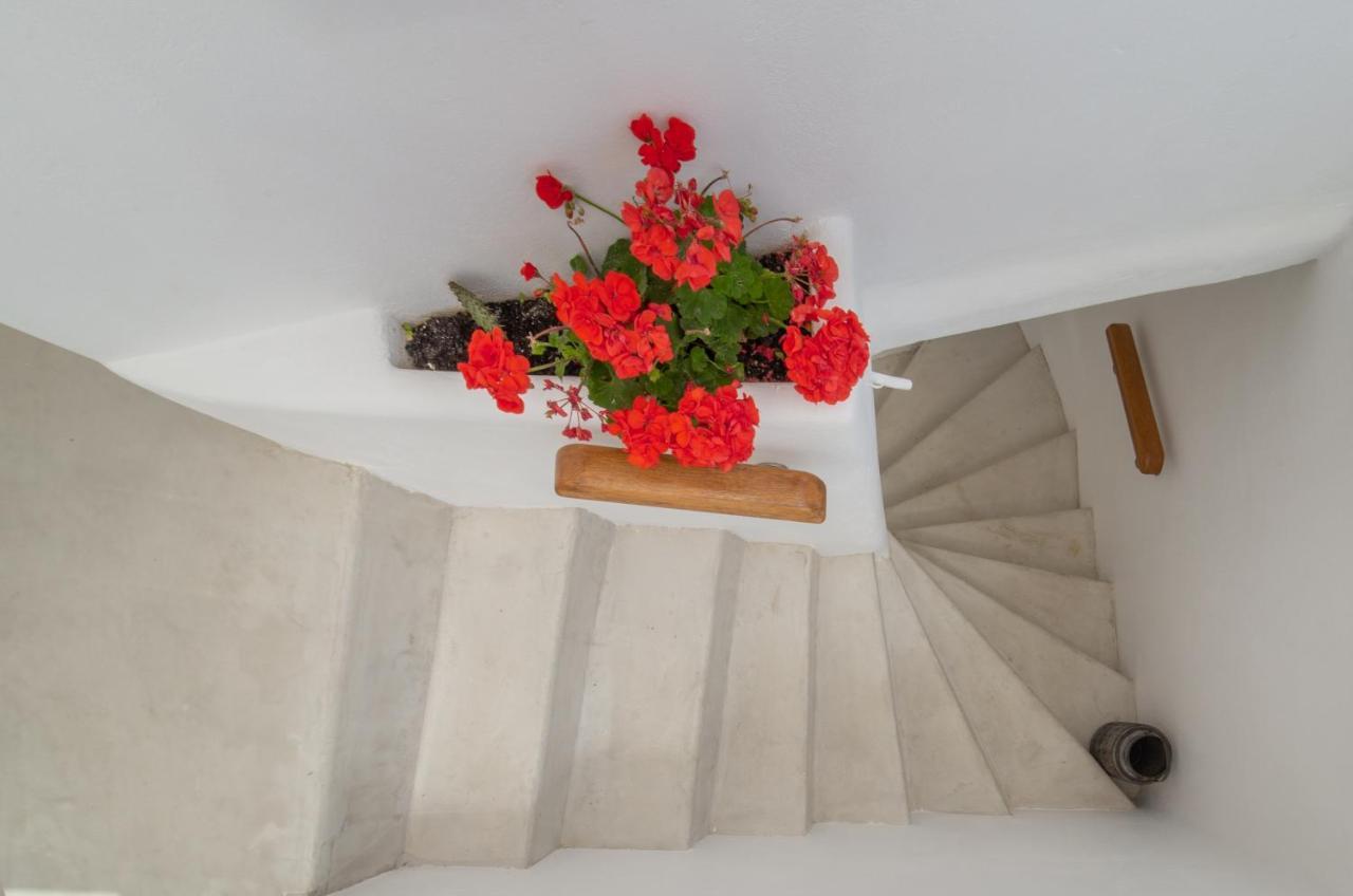 Lasia Boutique Apartment Ándros Exteriér fotografie